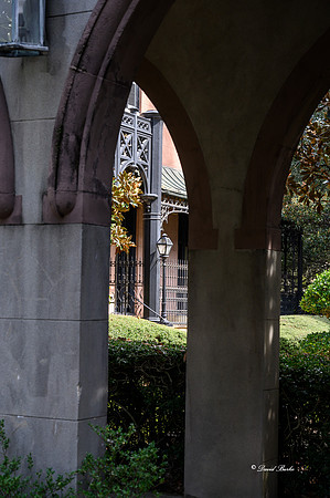 Savannah 2019-46