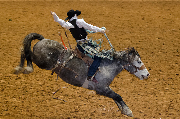 Stock Show Rodeo 2013-64