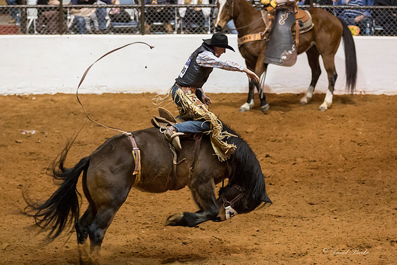 Stock Show 1-30-15-75