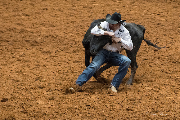 Stock Show 2018-14