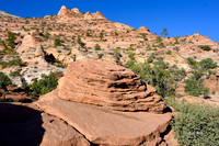 Zion NP Oct 2020-11