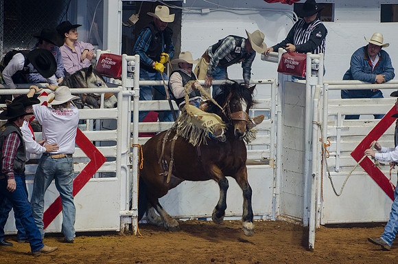 Stock Show Rodeo 2013-59
