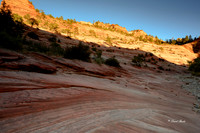 Zion NP Oct 2020-17