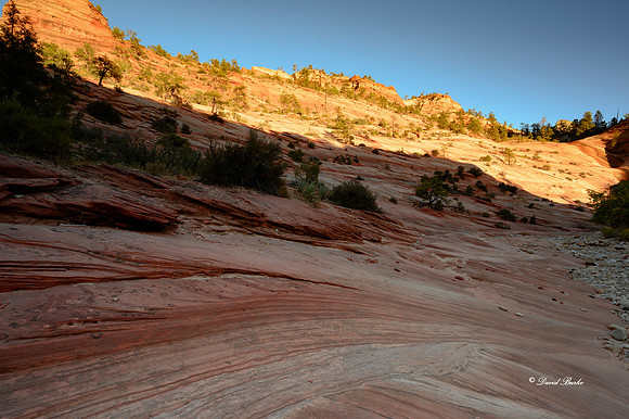Zion NP Oct 2020-17