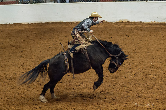 2014 Stock Show Rodeo-146