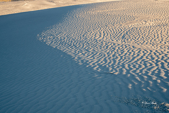 Bosque del Apache 2019-152