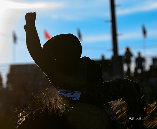 Hamel Rodeo-10