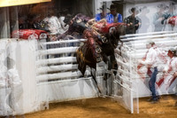 Stock Show 2018-29