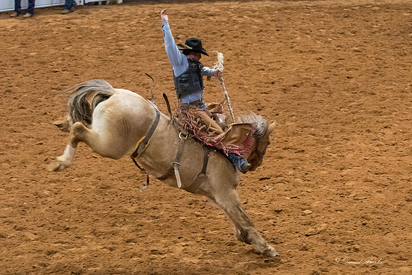Stock Show 2018-25