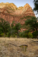 Zion NP Oct 2020-20
