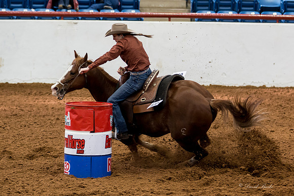 Stock Show 2-3-15-29