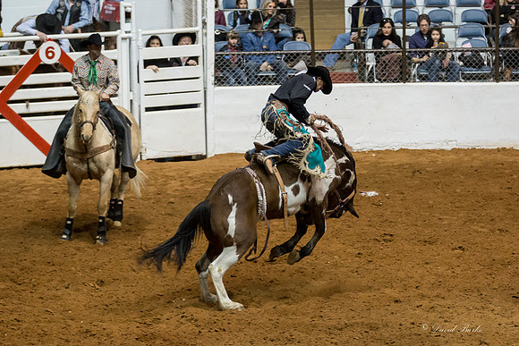 Stock Show 1-30-15-62