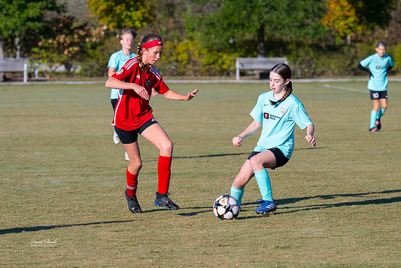 AFA Fillies Oct 2024-18