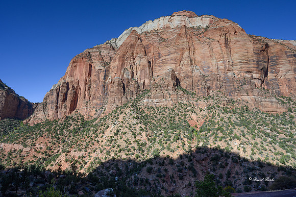Zion NP Oct 2020-3