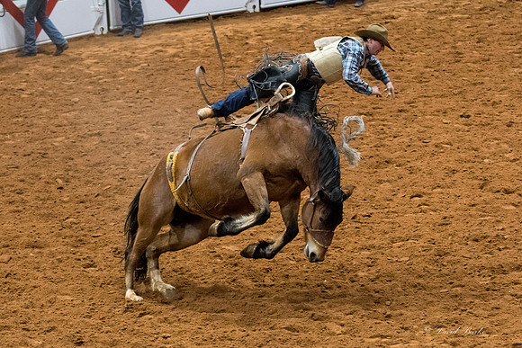 Stock Show 2018-20