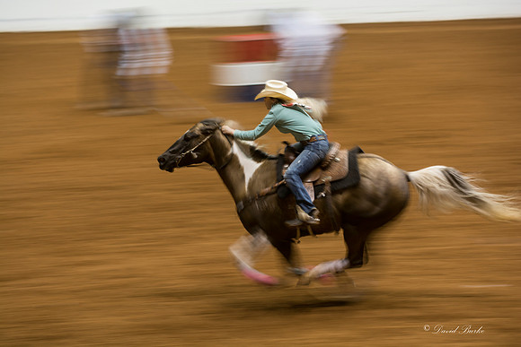 2014 Stock Show Rodeo-165