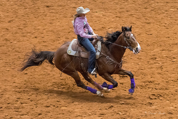 Stock Show 2018-48