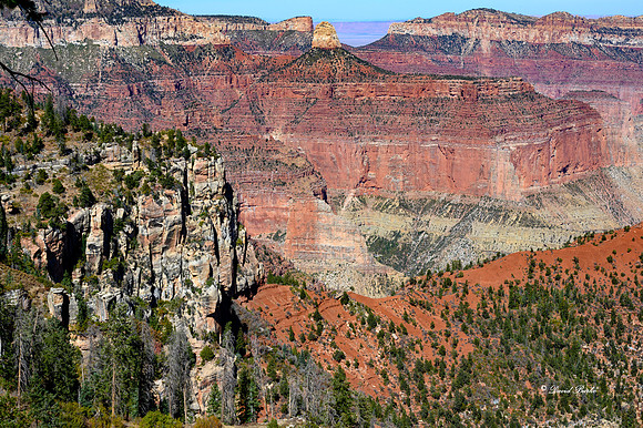 Grand Canyon NP Oct 2020-28