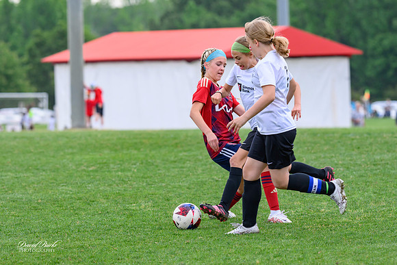 AFA Fillies May 2024-10