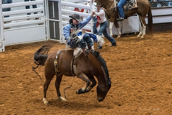Stock Show 2018-4