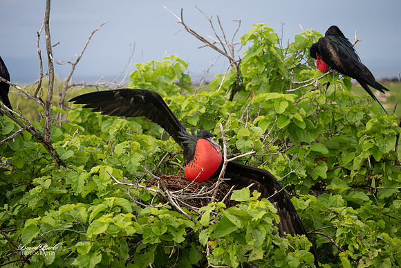 Galapagos Islands 2025-99
