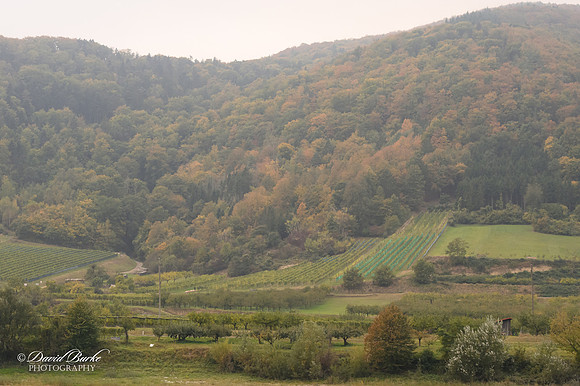 Cruise to Krems-18