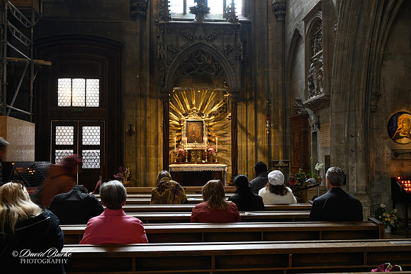 Vienna-27