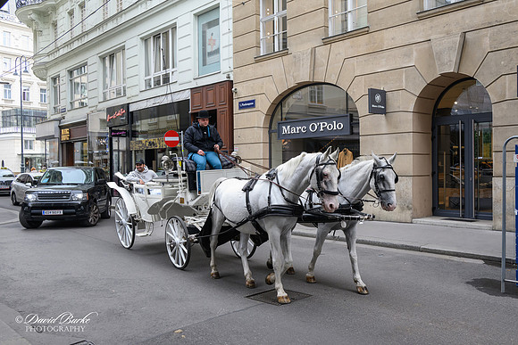 Vienna-43