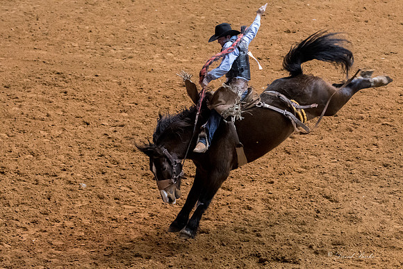 Stock Show 1-27-17-44