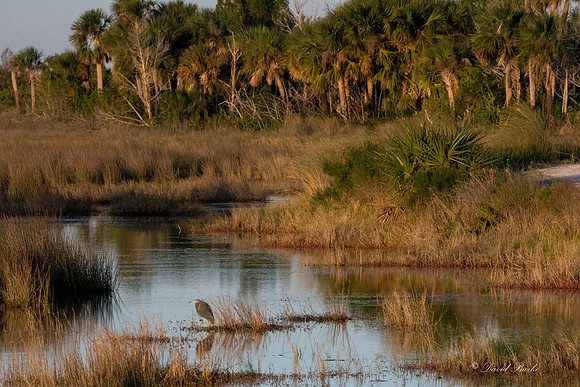 Titusville 2018-4