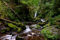 Black Forest 2021-8