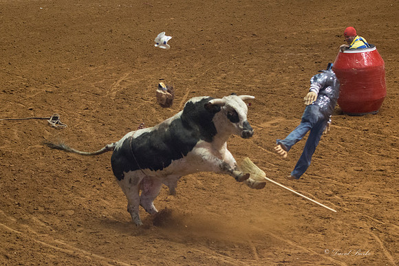 2014 Stock Show Rodeo-209