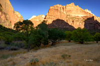 Zion NP Oct 2020-30