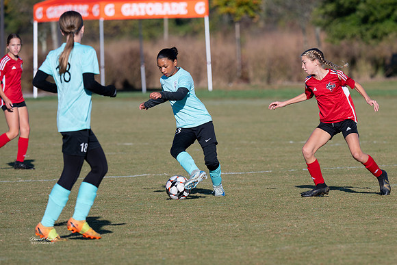 AFA Fillies Oct 2024-11