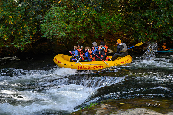 Fall Color 2019-22