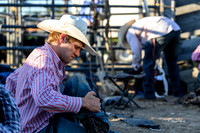 Hamel Rodeo-2