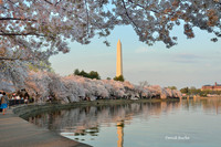 Washington DC