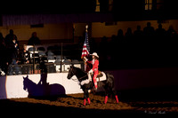 Stock Show 1-27-17-3