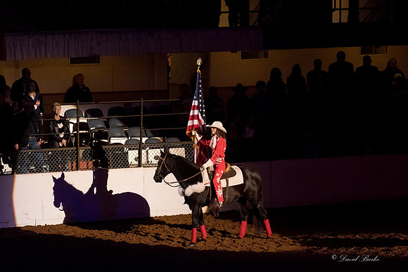 Stock Show 1-27-17-3