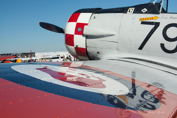 Air show 2014 -6