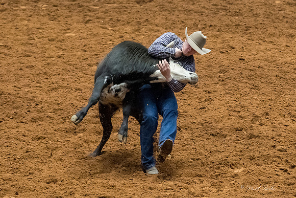 Stock Show 2018-15