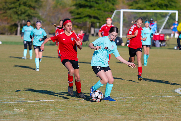 AFA Fillies Oct 2024-5