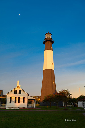 Savannah 2019-4