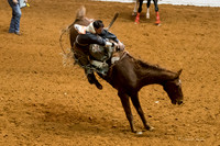Stock Show 1-27-17-14