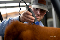 Stock Show 2019-8