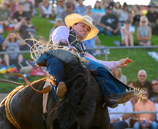 Hamel Rodeo-35