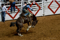 Stock Show 1-27-17-48