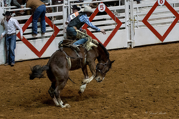 Stock Show 1-27-17-48