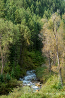 Idaho trip 2015-24