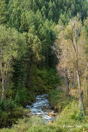 Idaho trip 2015-24